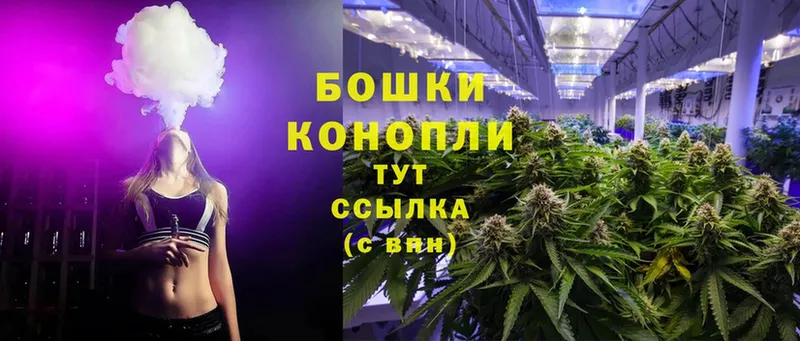 Бошки марихуана SATIVA & INDICA  дарнет шоп  Кохма 